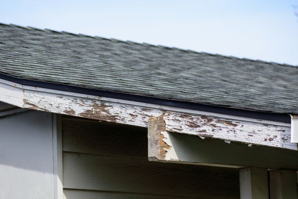 Dallas Wood Rot Repair