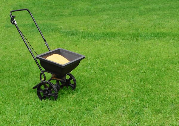 Dallas Lawn Treatment
