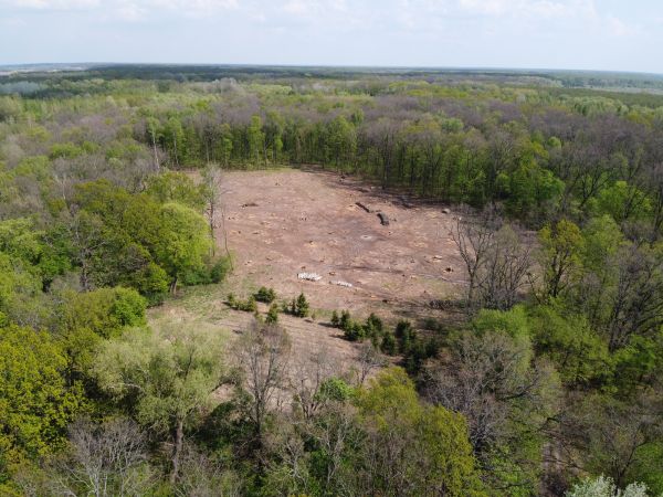 Dallas Land Clearing